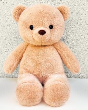 Classic Teddy Bear